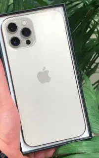 12pro max