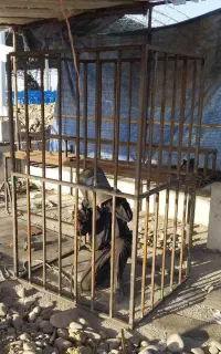 جوشکاری سیار