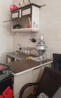 استخدام