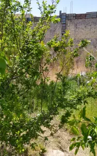 آب چاه کشاورزی ماداب