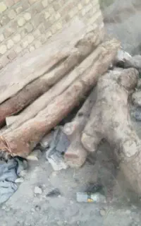 چوب