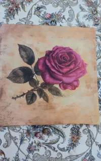 رو کوسنی مخمل ۴۰×۴۰