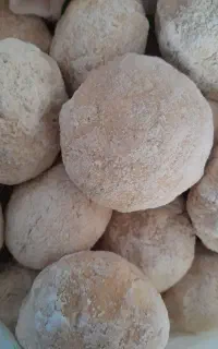 کشک گوسفند