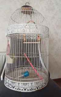 قفس پرنده
