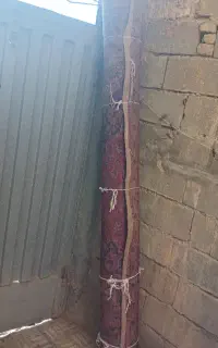 فرش دست باف ۱۲متری