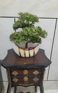 گل رومیزی