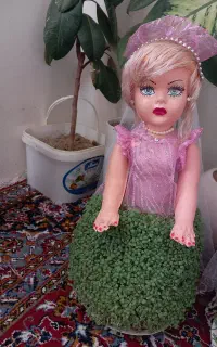 سبزه طبیعی