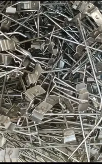 سیخک رگال