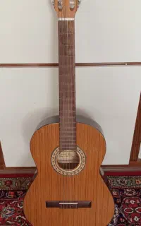 گیتار ادوات موسیقی خانی P600