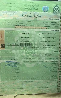 تمام سند تک برگ