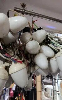 اجاره ریسه بلوطی هفت رنگ