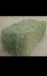 فروش پرس ینجه