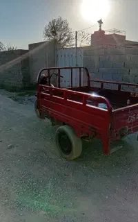 سچرخ توسن سند سفید