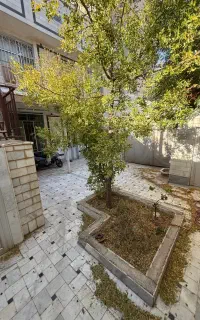 اجاره مسکونی