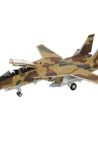 ماکت هواپیما f-14 تامکت دیجیتالی هابی مستر