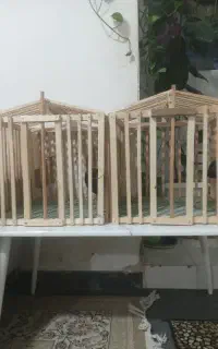 قفس جای کبک و....