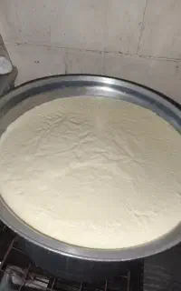 پخش شیر پرچرب