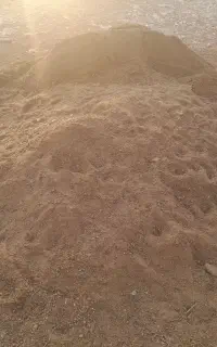 کود