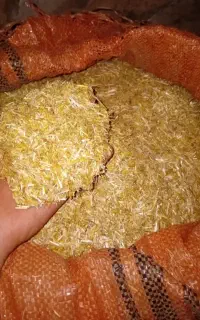 کاه گندم وعدس درجه یک بجنورد