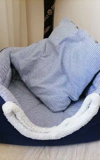 تخت خواب سگ یا گربه