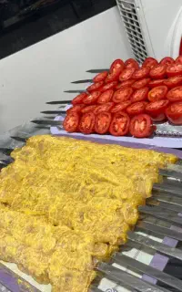 غذا آماده تربچه