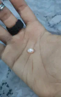 مروارید