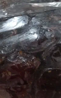 خرمای کبکاب