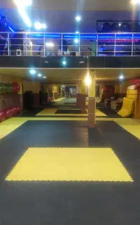 آموزش دفاع شخصی.کیک بوکسینگ.کیوکوشین.کلا خصوصی