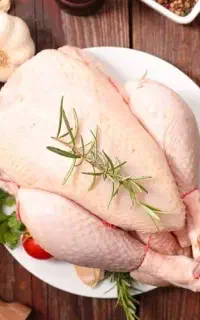 مرغ سرمایه گذاری ، مشارکت ، سود