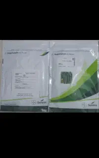 بذر خیار 2n