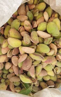 بادام درختی