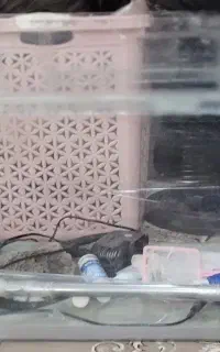 اکواریوم