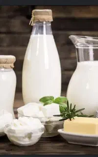 کالابرگ فعال هست.لبنیات نوروزی