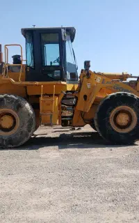 LIUGONG 856