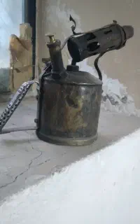 پیلوموس