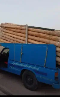 خریدا انواع چوب