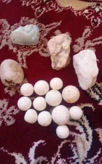 تعدادی سنگ آسیاب