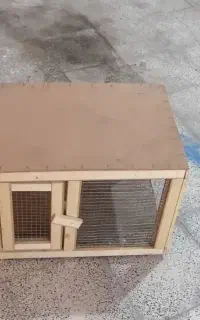 قفس