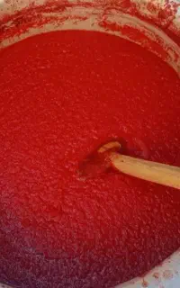 رب‌خانگی‌وغلیظ‌وترش‌مزه