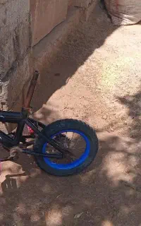 دوچرخه