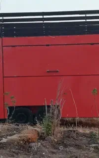 کانکس فود تراک