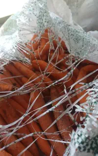 هویج خورده کرده برای رستوران