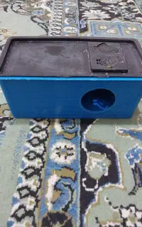 لانه مرغ عشق
