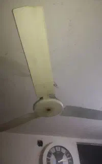 پنکه