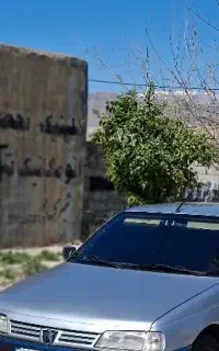 سواری دراختیار (دربست)