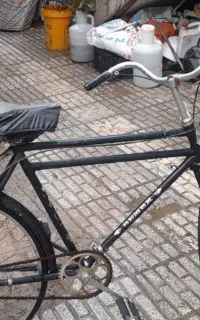 بالابر، فرغون، دوچرخه..