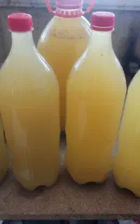 آبغوره تازه