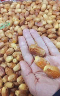 خرما زاهدی درشت و نرم.عمده به قیمت جنوب
