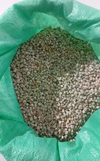 نخودفرنگی درجه یک بذری