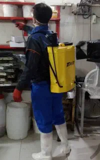 سم پاشی حشرات سوسک ساس موریانه ۱۰۰%تضمینی کل استان